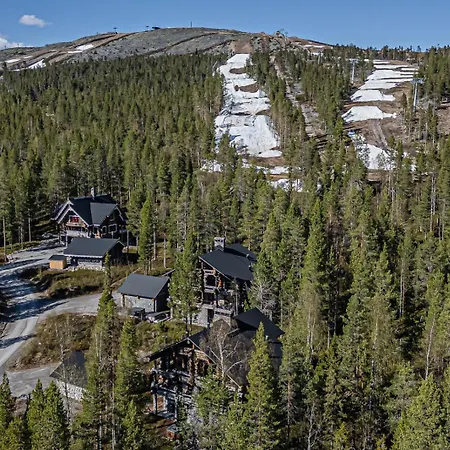 Ursa Major By Aavalevi * ليفي